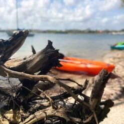 Pelican Sport Pulse 100X With Paddle Kayak -Rowing-Pelican Sport KOS10P102 00 LS4